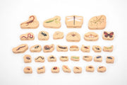 Houten Kleine Dieren Blokken - Set van 33