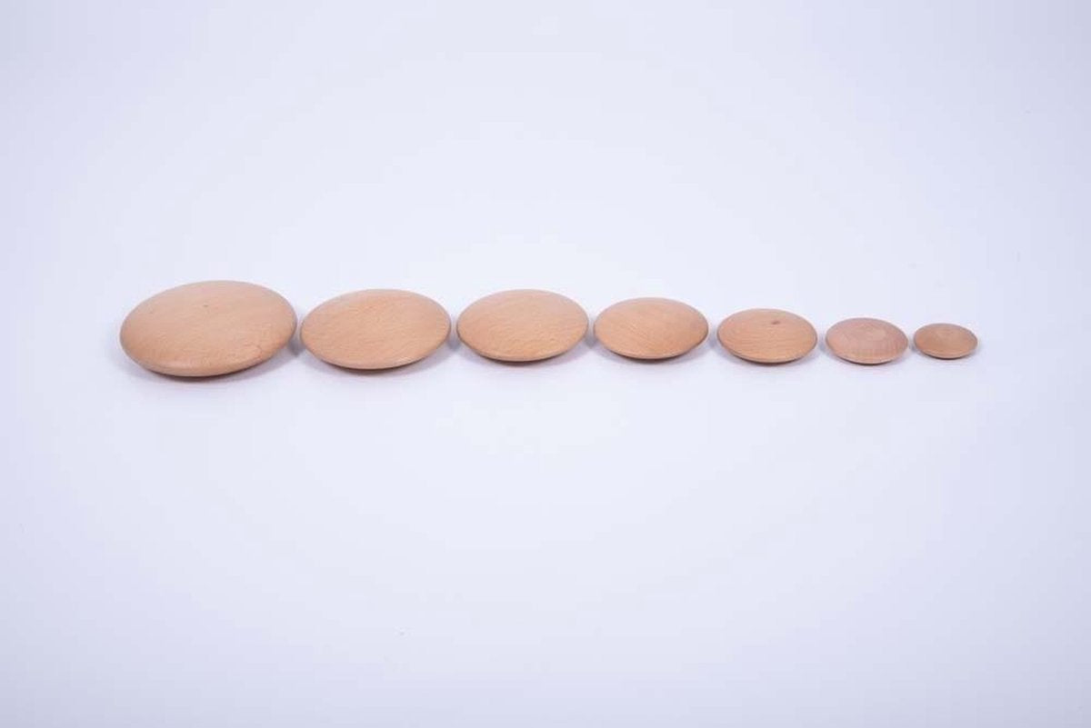 Natuurlijke Houten Disks - Set van 7