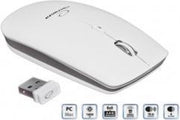 Esperanza EM120W muis RF Draadloos Optisch 2400 DPI