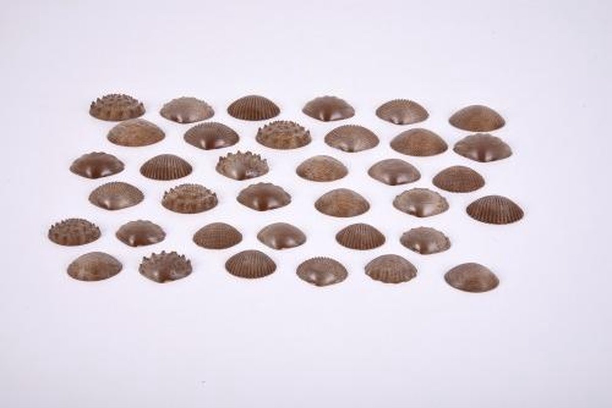 TickiT Eco Friendly Tactile Shells
