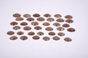TickiT Eco Friendly Tactile Shells