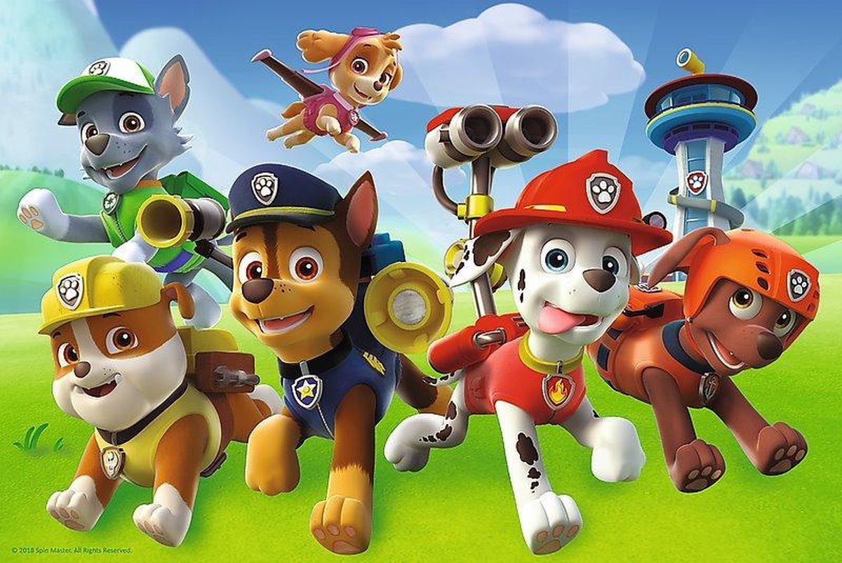 Trefl Puzzel Paw Patrol: : 60 stukjes