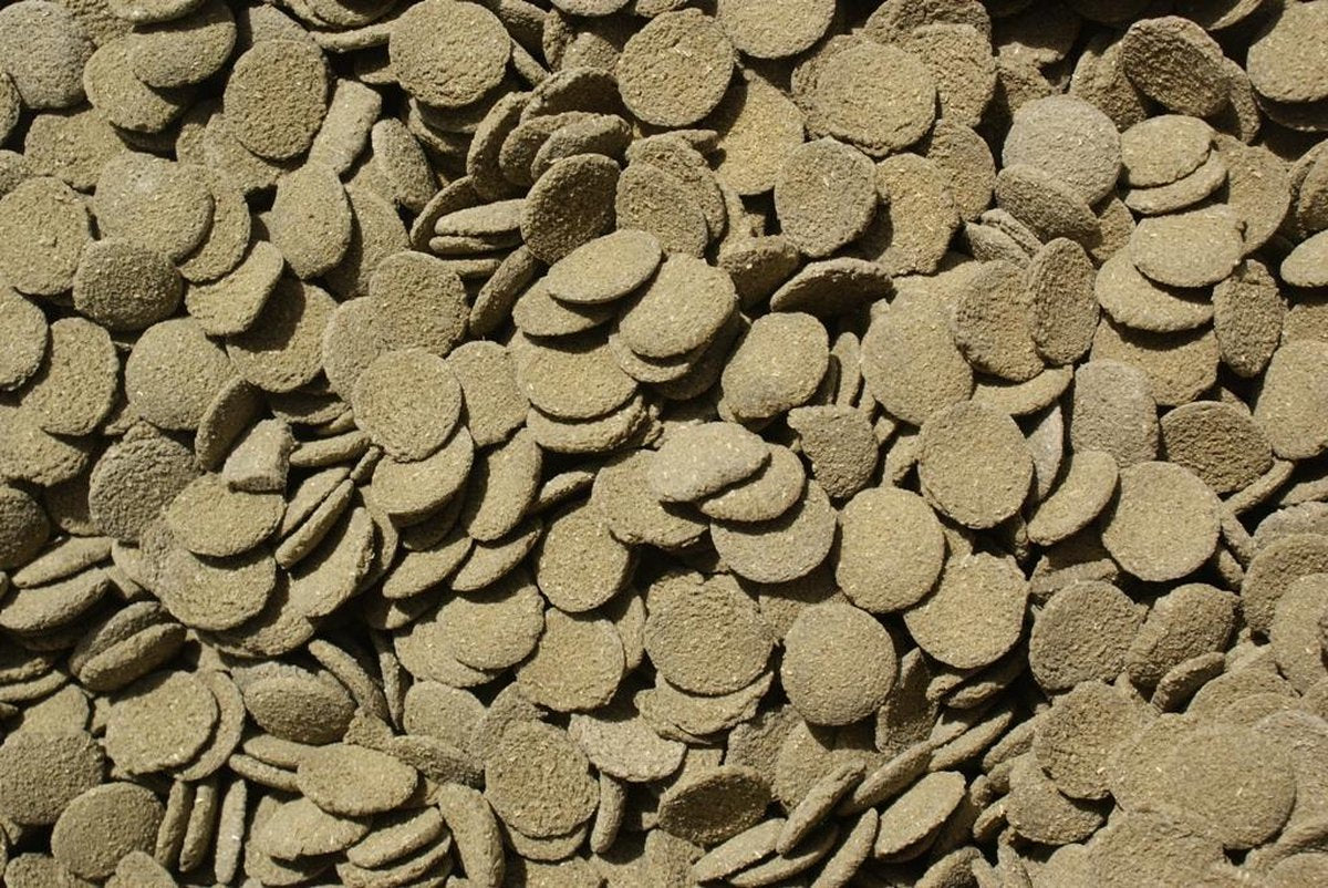 Algen Wafels (1 Liter)