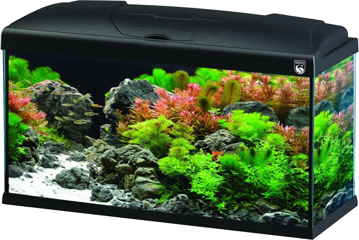 Trofis Start 80 Zwart Aquarium