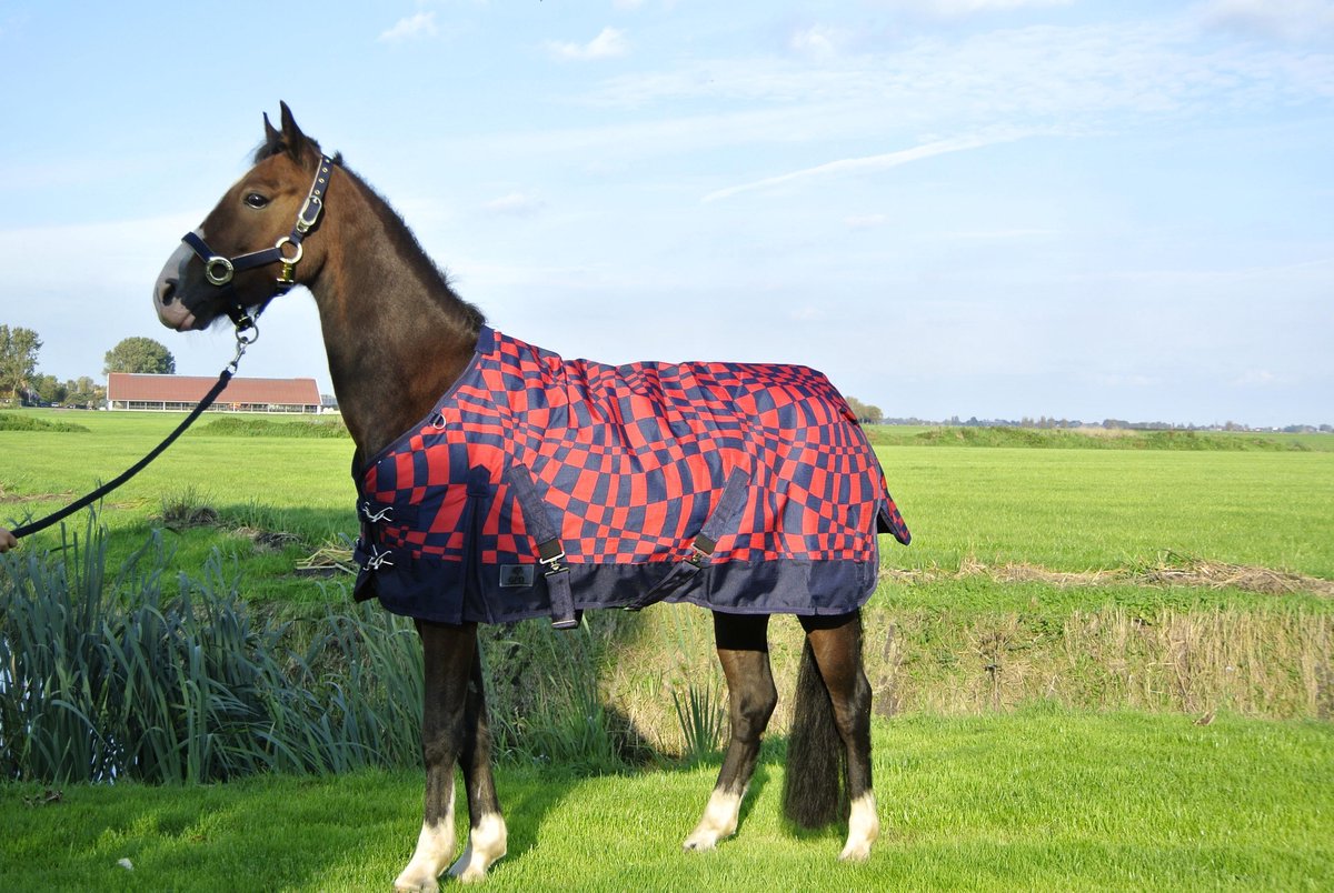 Buitendeken 300 gram rood/blauwe paardendeken - maat 165