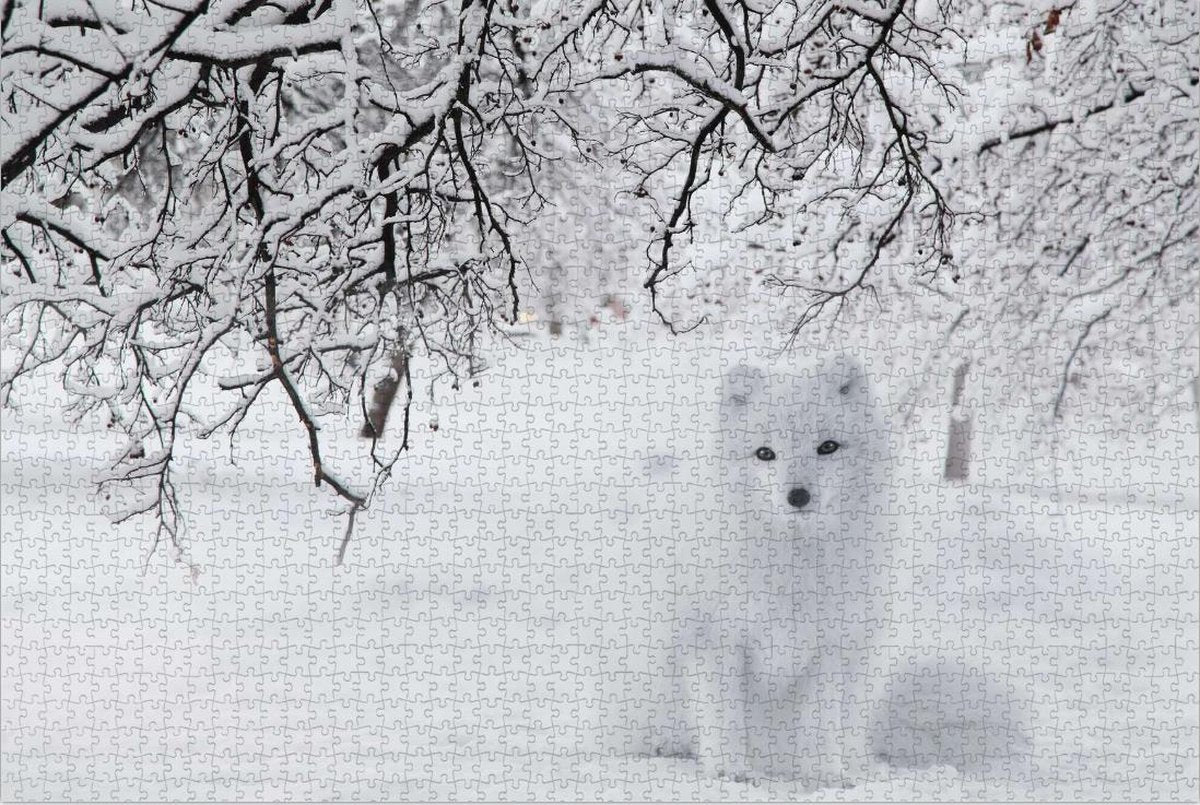 Witte Vos op Puzzel - Sneeuw - Bos -  Extra Moeilijke Puzzel 1500 Stukjes