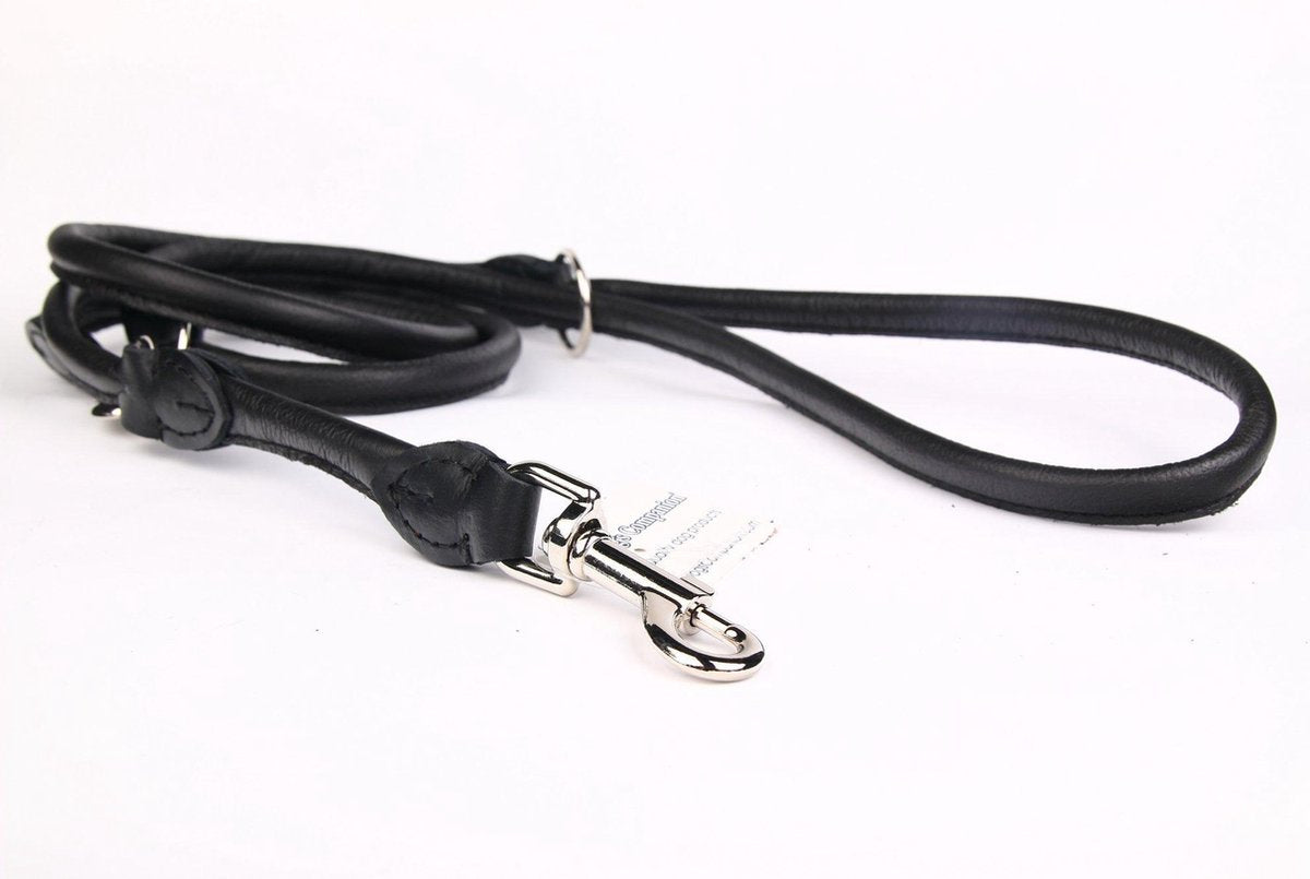 Dog's Companion Leren hondenriem - 220 cm x 10 mm - Zwart