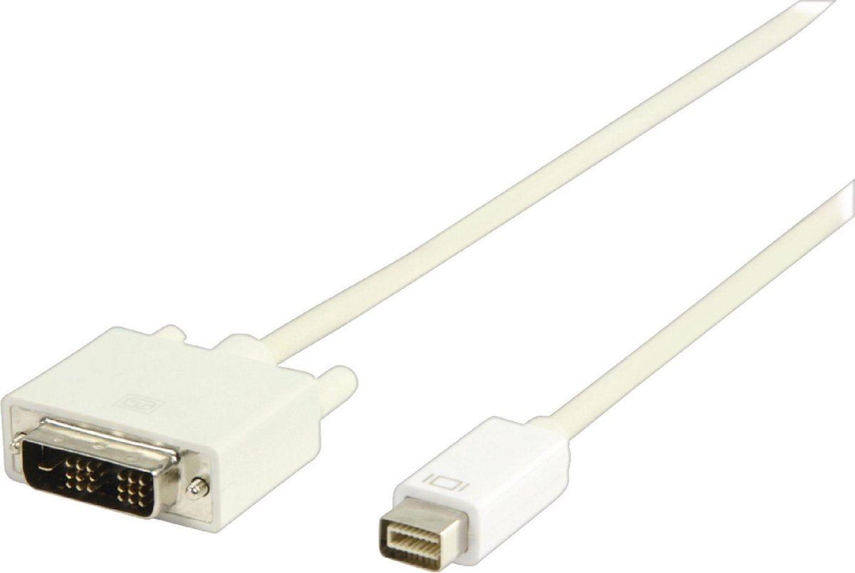 Mini DVI naar DVI mannelijk kabel 2