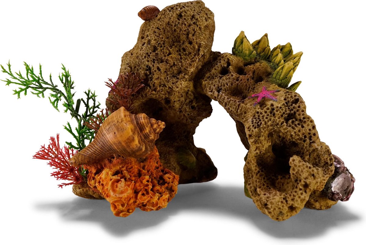 Aqua deco koraal rots met planten 19x12x14cm