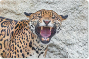 Bureau mat - Jaguar - Tanden - Rots - 60x40