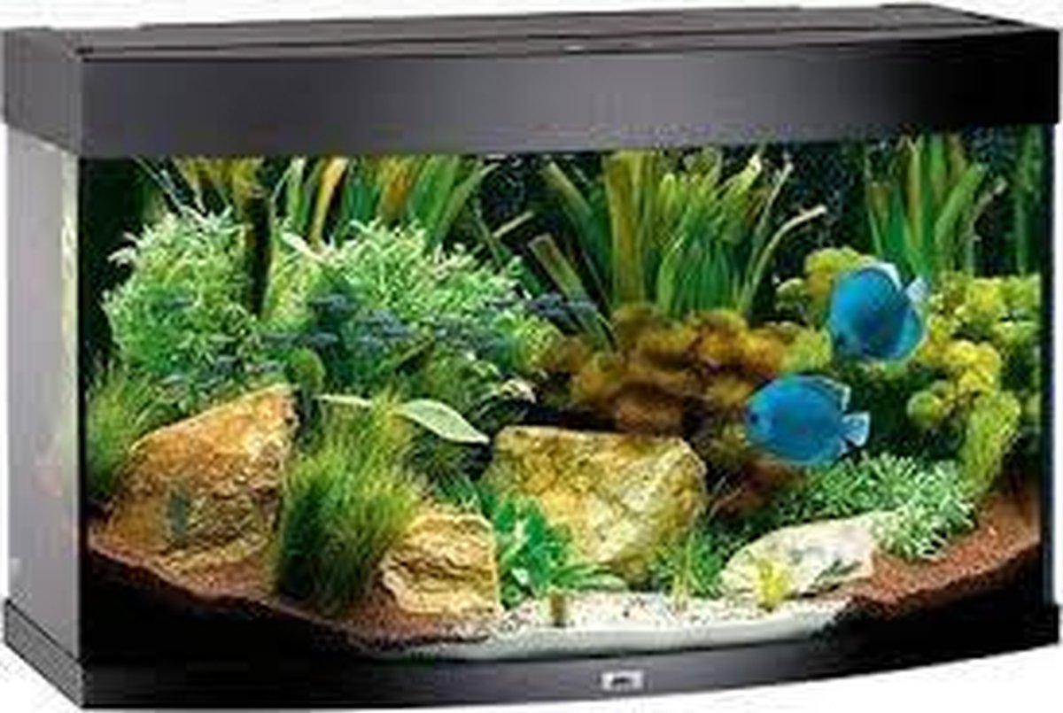 Juwel Vision Aquarium - 92x55x41 cm - 180L - Zwart
