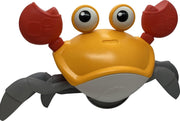 Strandkrab | oranje | Strandspeelgoed | Badspeelgoed | zandbak speelgoed | Educatief | Opwind baar | duurzaam | Hygiënisch |