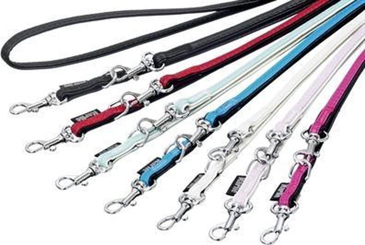 Paris t.-leash