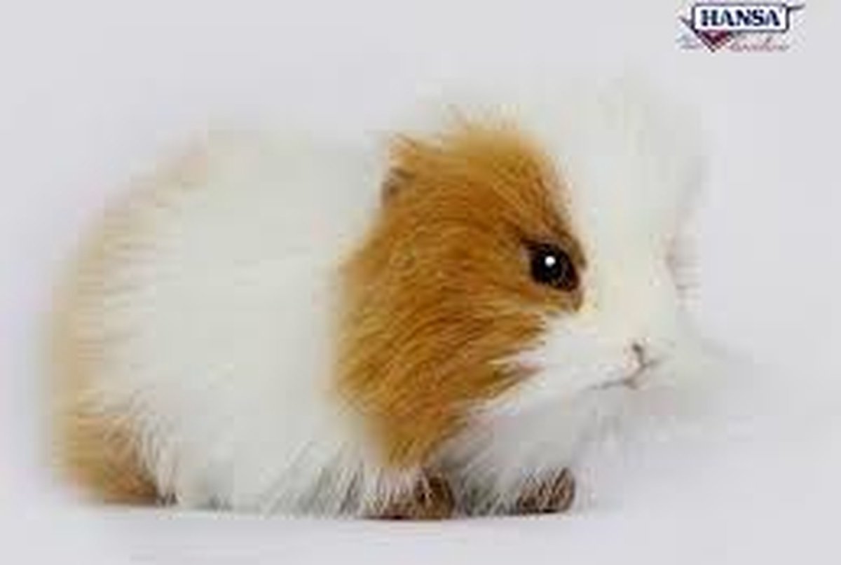 Cavia Knuffel