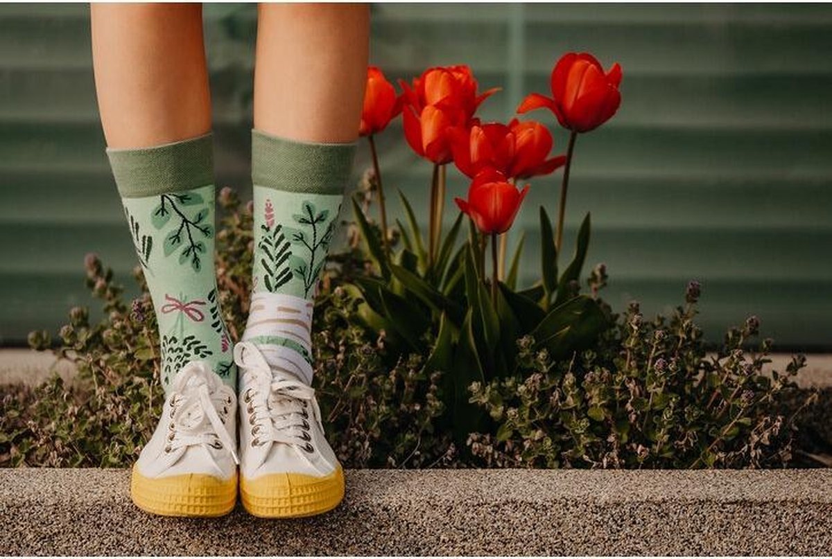 Good Mood Sokken - Kruiden - Unisex Maat 35-38