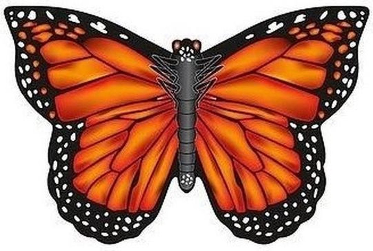 Vlieger Monarchvlinder 70 x 48 cm
