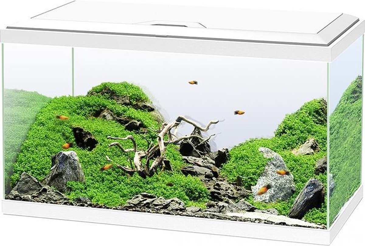 Ciano Aquarium 60 led cf80 Wit 60x30x41cm
