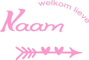 geboorte raam sticker 008 40 cm - 60 cm