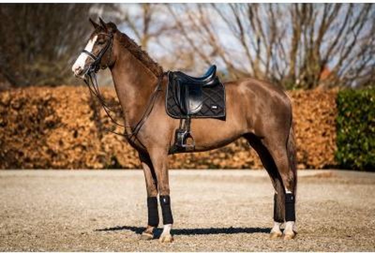 HB Showtime Crown dressuur zadeldek