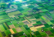 Platteland van Nederland - Puzzel 252 stukjes