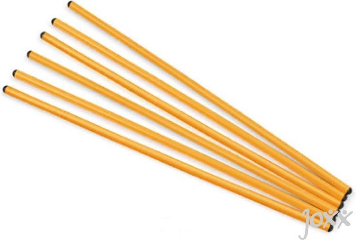 Gonge - Activiteiten sticks (6 st.)