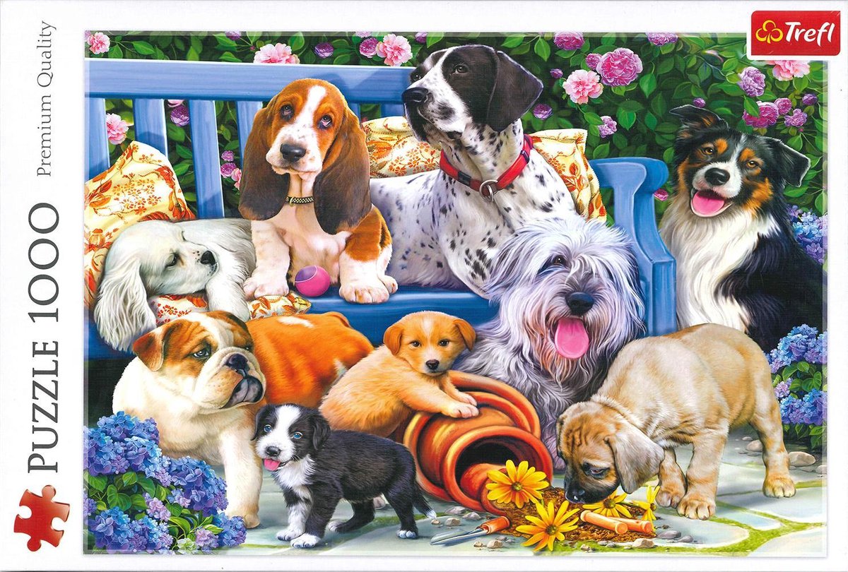 Honden in tuin