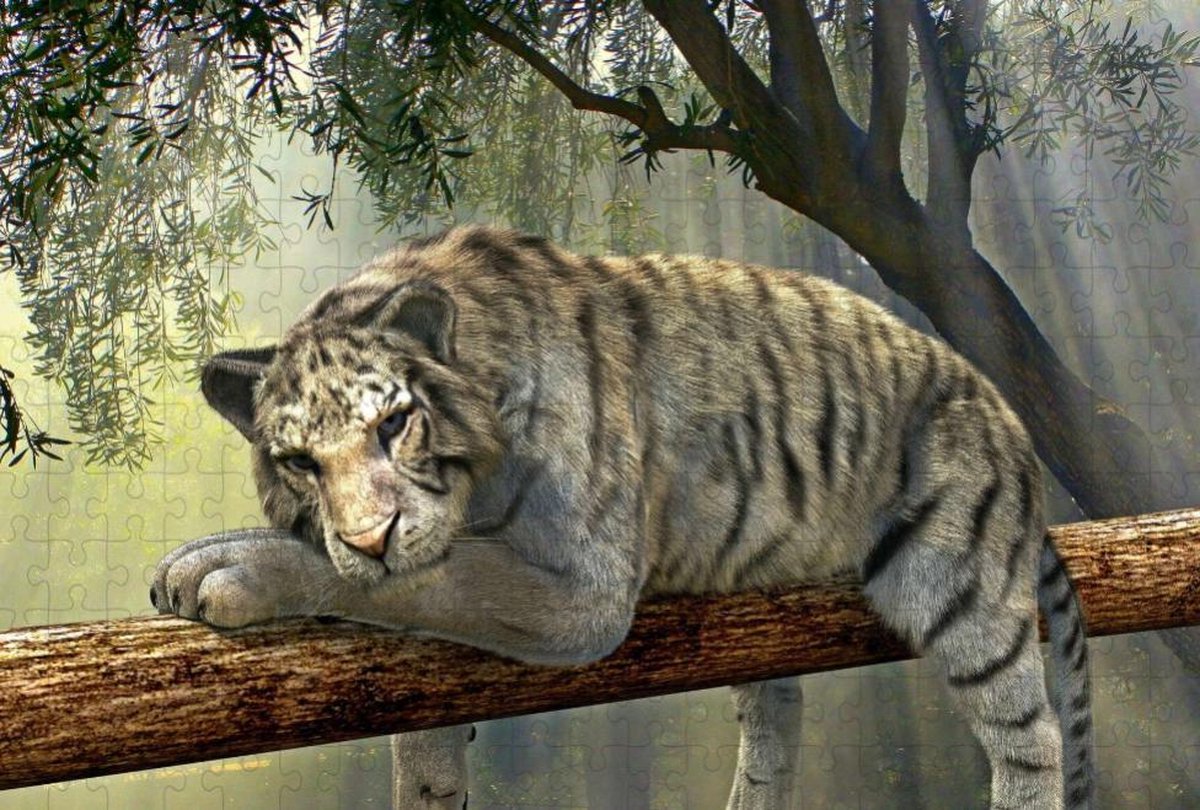 Tijger In Bos Op Tak - Legpuzzel 252 stukjes Volwassenen
