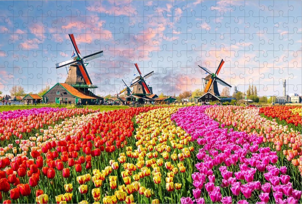 Traditionele Nederlandse Windmolens in de Tulpen - legpuzzel 252 Stukjes | Zaandam - Tulpenveld - Nederland