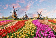 Traditionele Nederlandse Windmolens in de Tulpen - legpuzzel 252 Stukjes | Zaandam - Tulpenveld - Nederland