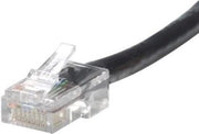 Belkin UTP-kabels CAT5e UTP Assembled Patch Cable: Black