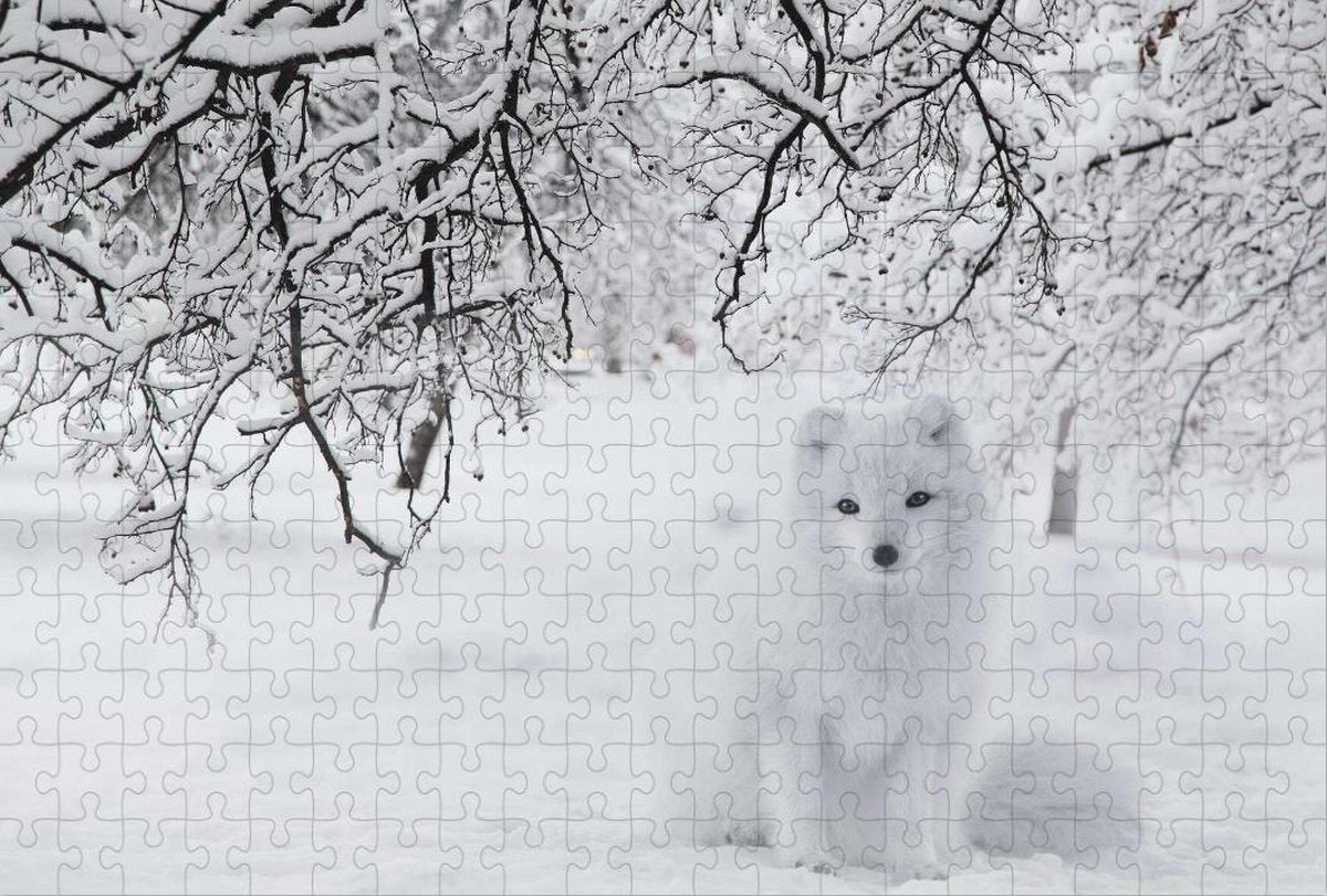 Witte Vos op Puzzel - Sneeuw - Bos - Moeilijke Puzzel 252 Stukjes