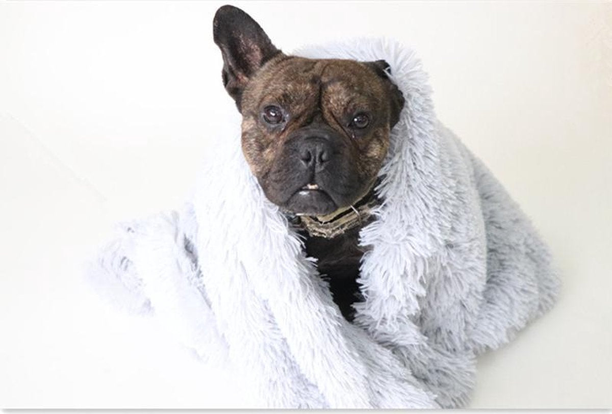 Luxe Fluffy Hondendeken - 100x75 cm - L - Grijs