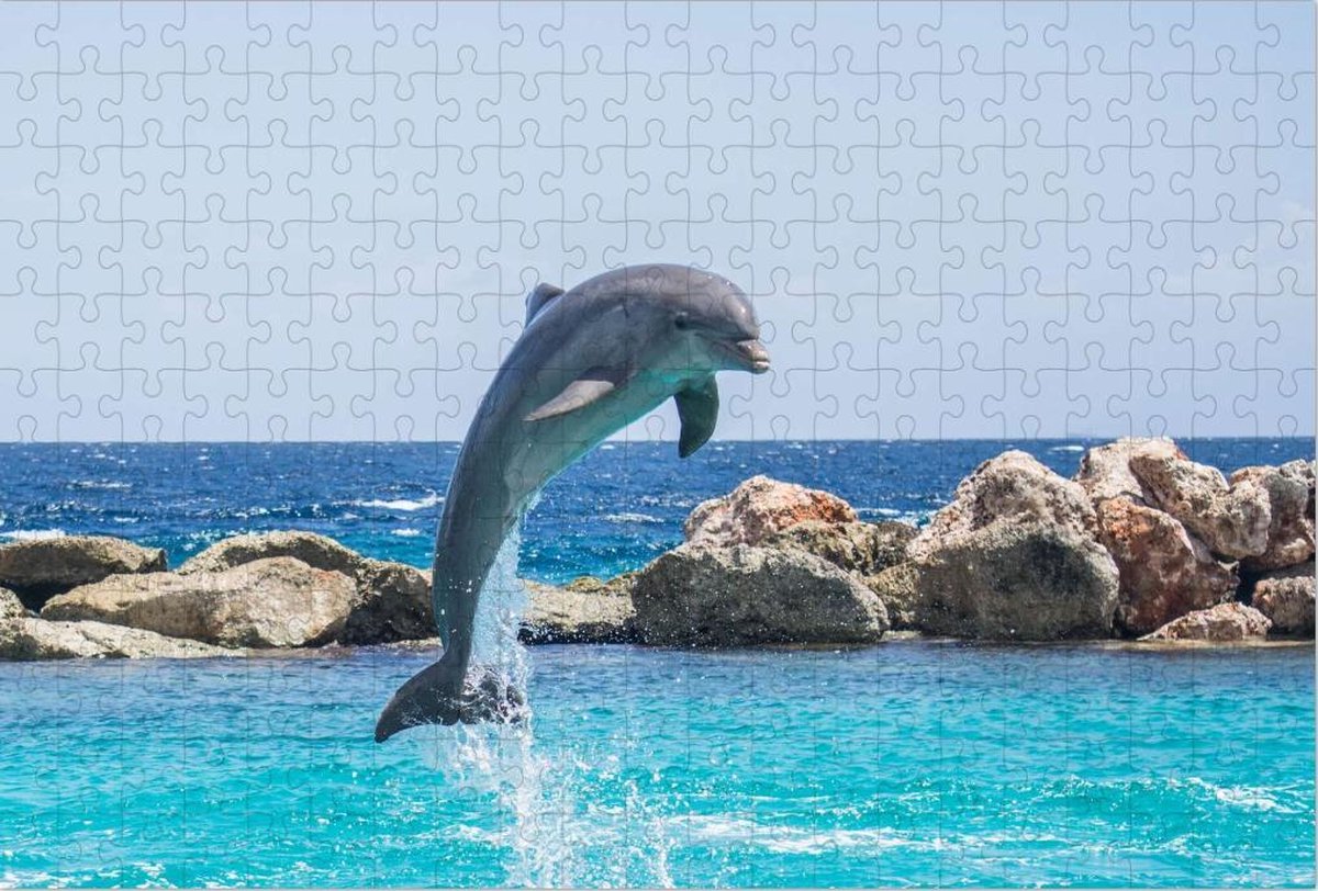 Springende Dolfijn in het Water - Legpuzzel 252 Stukjes | Dolfijn - Springen - Oceaan - Zoogdier