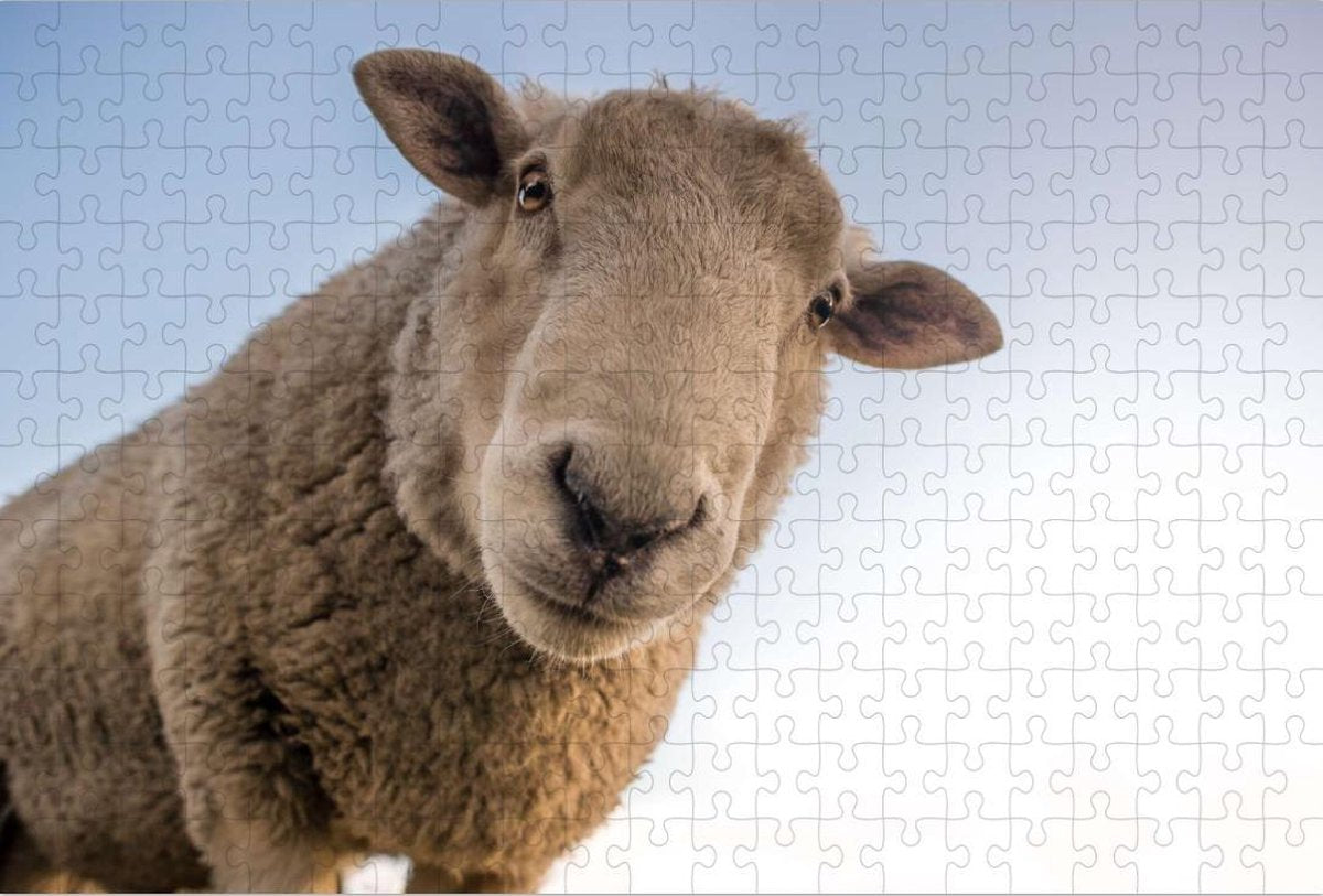 Schaap maakt Selfie - Legpuzzel 252 Stukjes | Schaap Puzzel - Dieren - Selfie