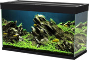 Ciano Aquarium emotions nature pro 100 Zwart 102