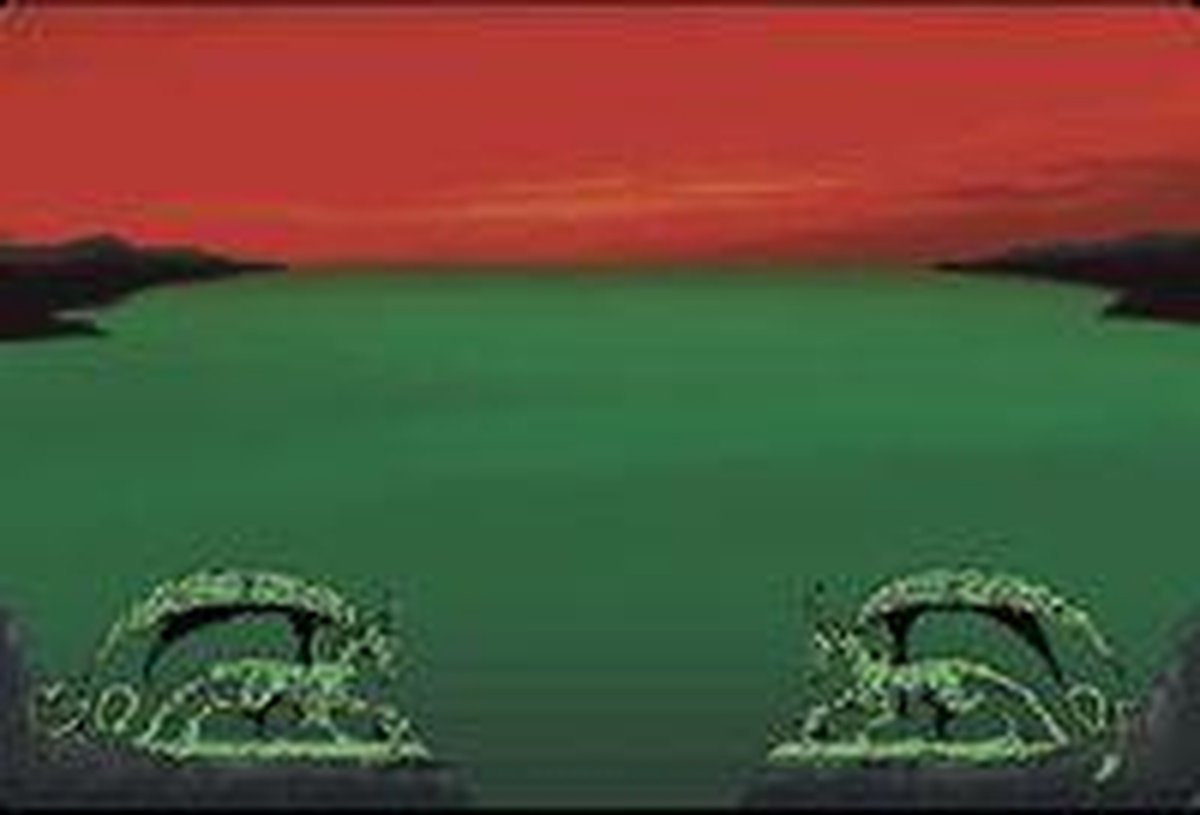 Arcane Tinmen Dragon Shield Playmat Red Zone Guardian