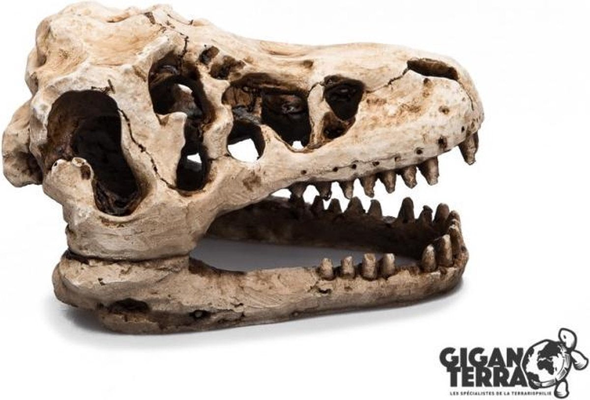 Giganterra T-Rex