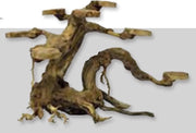Superfish Bonzai Planter S - 23 x 12 x 15 cm