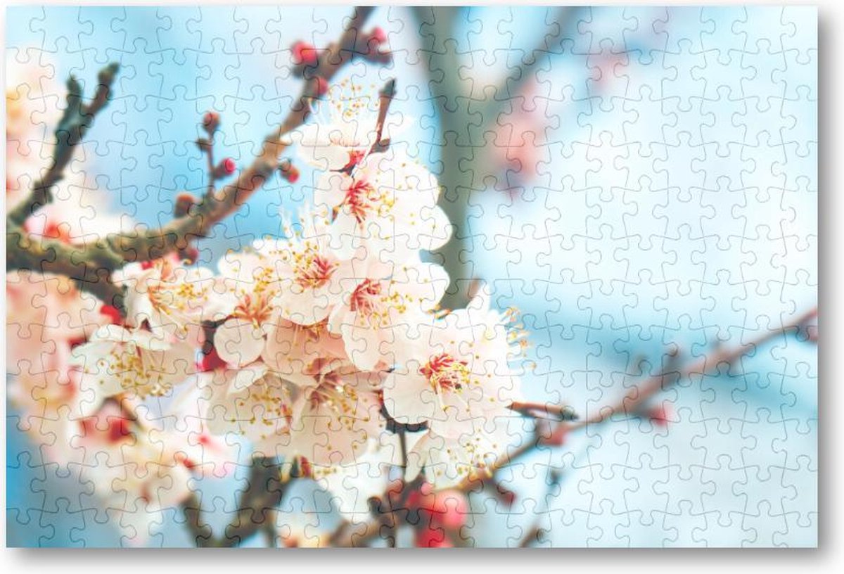 Abrikozenboom met prachtig gekleurde bloemen - 252 Stukjes puzzel voor volwassenen - Natuur - Bloemen
