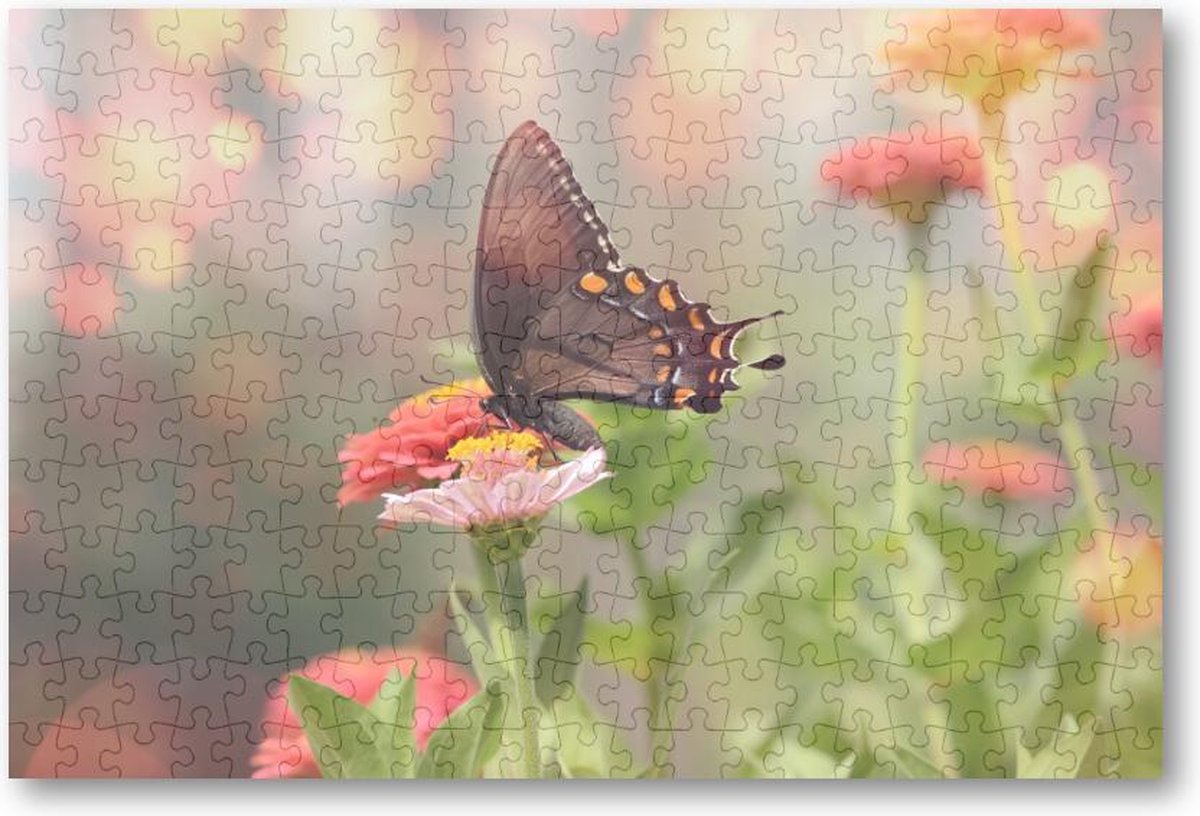 Kleine zwarte satyrium vlinder op een roze bloem - 252 Stukjes puzzel voor volwassenen - Dieren - Natuur - Bloemen
