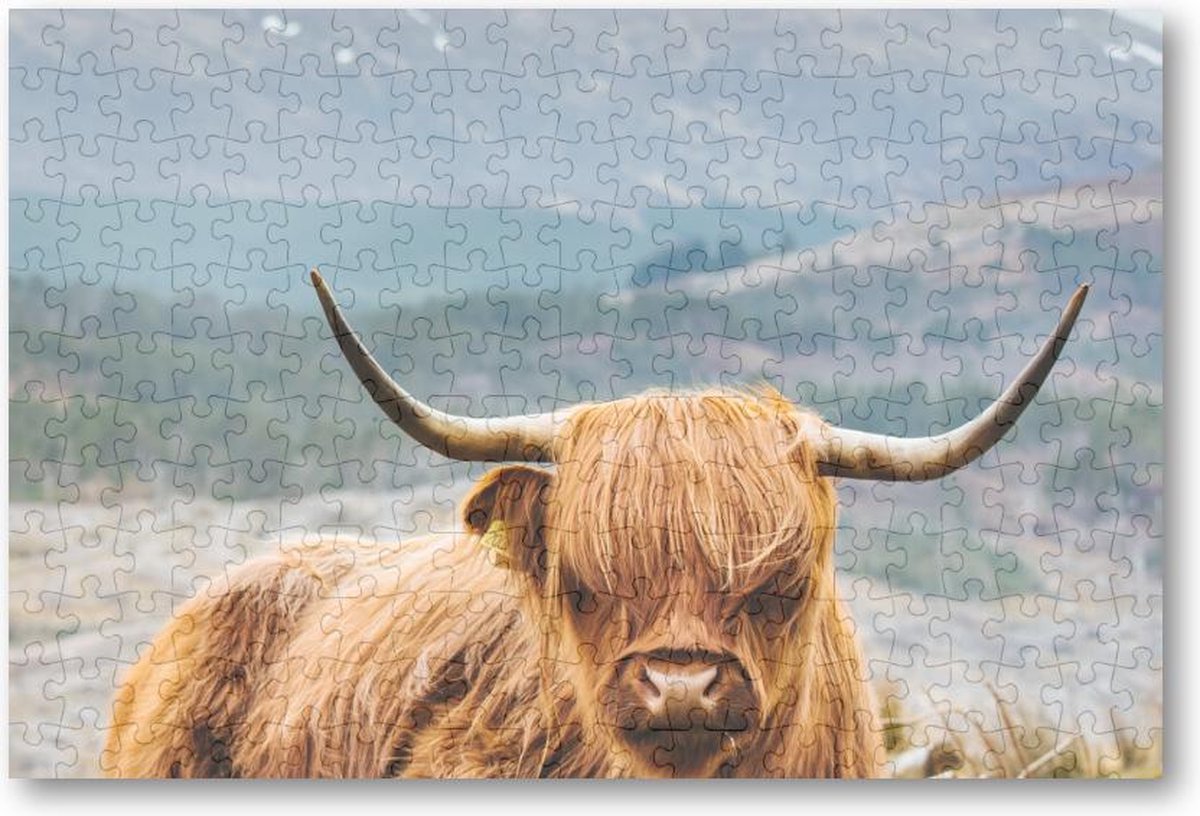 Schotse Hooglander - 252 Stukjes puzzel voor volwassenen - Besteposter - Dieren - Natuur