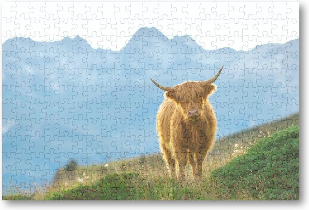 Schattige Schotse Hooglander - 252 Stukjes puzzel voor volwassenen - Dieren - Natuur