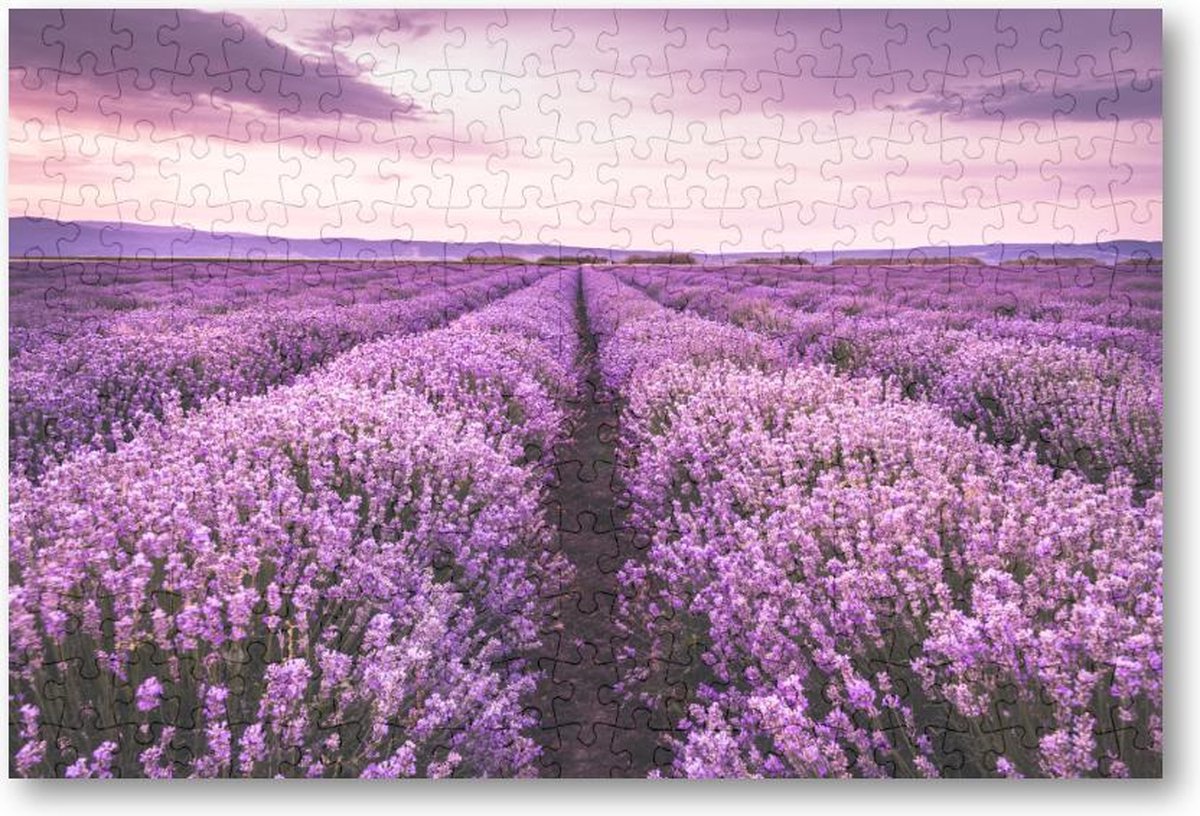Bloeiend lavendelveld onder de paarse kleuren van de zonsondergang - 252 Stukjes puzzel voor volwassenen - Landschap - Natuur - Bloemen