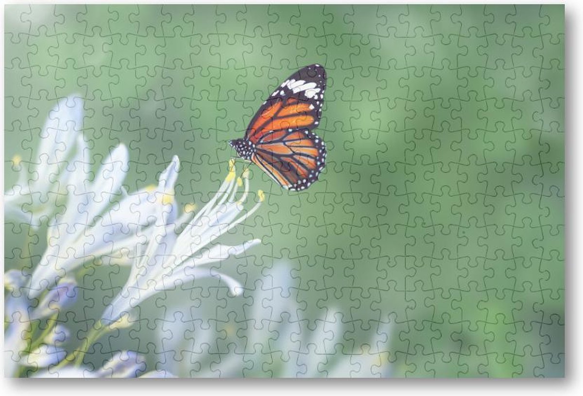 Vlinder - 252 Stukjes puzzel voor volwassenen - Dieren - Natuur