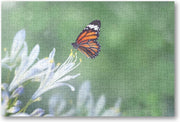Vlinder - 252 Stukjes puzzel voor volwassenen - Dieren - Natuur