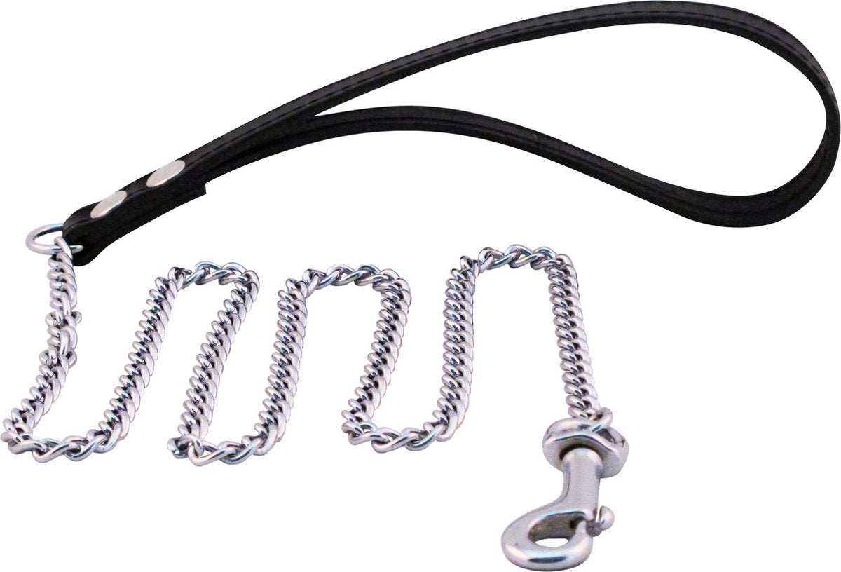 MISTER B PUPPY LEASH CHAIN