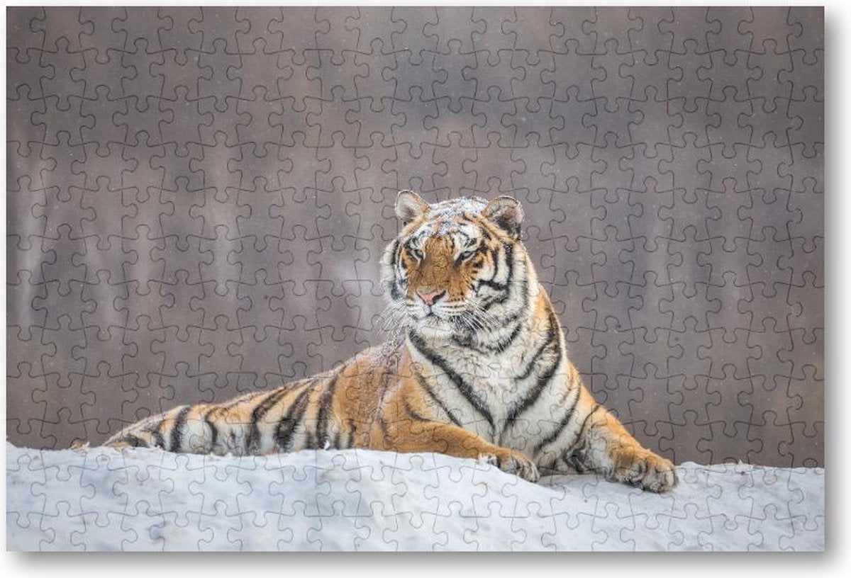 Siberische tijger op een winterse dag - 252 Stukjes puzzel voor volwassenen - Besteposter - Dieren