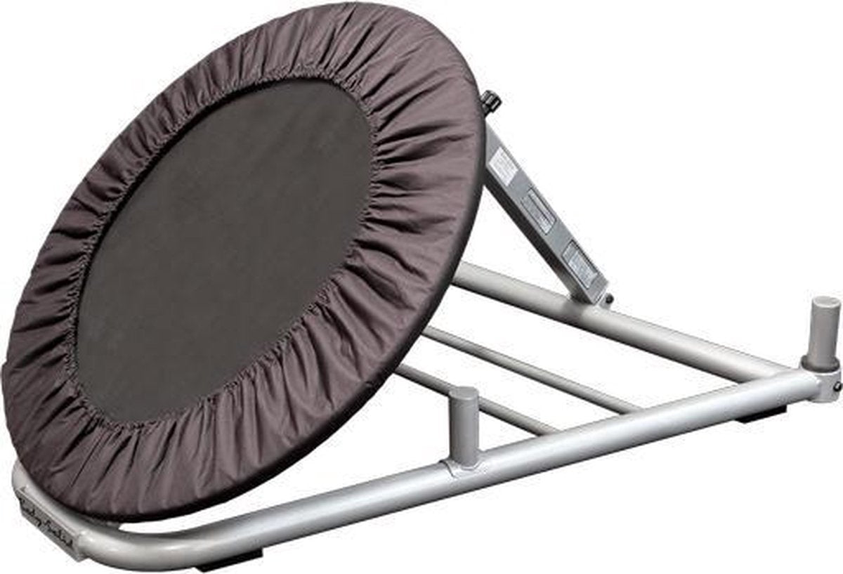 Body-Solid GBR10 Medicine Ball Rebounder