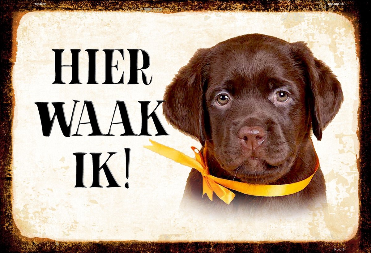 Wandbord - Hier Waak Ik - Labrador Pup
