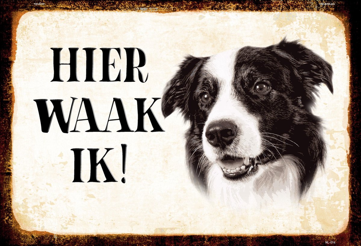 Wandbord - Hier Waak Ik - Border Collie